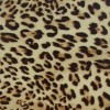 Flex Leopard